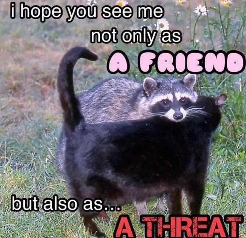 i hope you see me not only as A FRIEND but also as... A THREAT