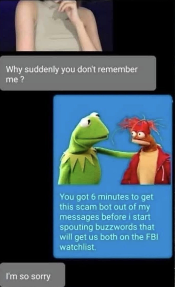 Why suddenly you don't remember me? I'm so sorry You got 6 minutes to get this scam bot out of my messages before i start spouting buzzwords that will get us both on the FBI watchlist.