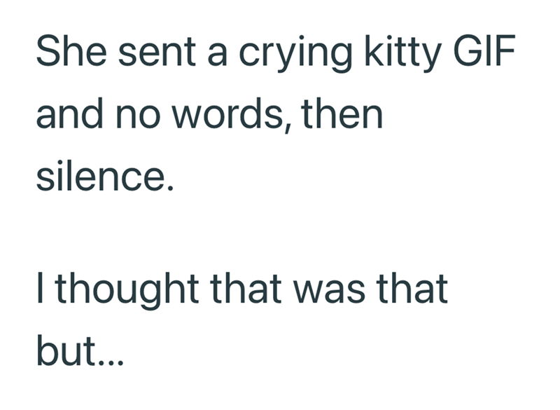 She sent a crying kitty GIF and no words, then silence. I thought that was that but...