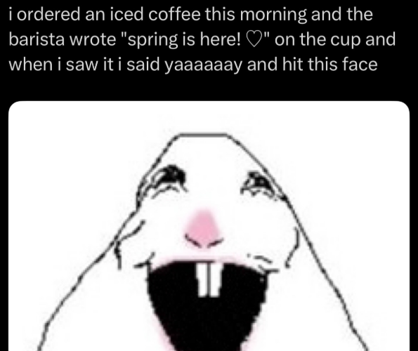 i ordered an iced coffee this morning and the barista wrote "spring is here! ♡" on the cup and when i saw it i said yaaaaaay and hit this face
