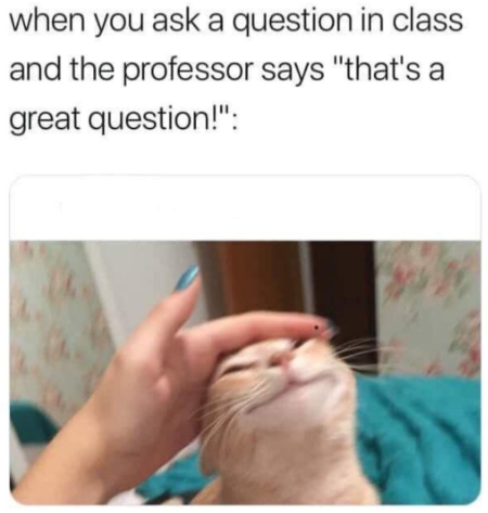 when you ask a question in class and the professor says "that's a great question!":