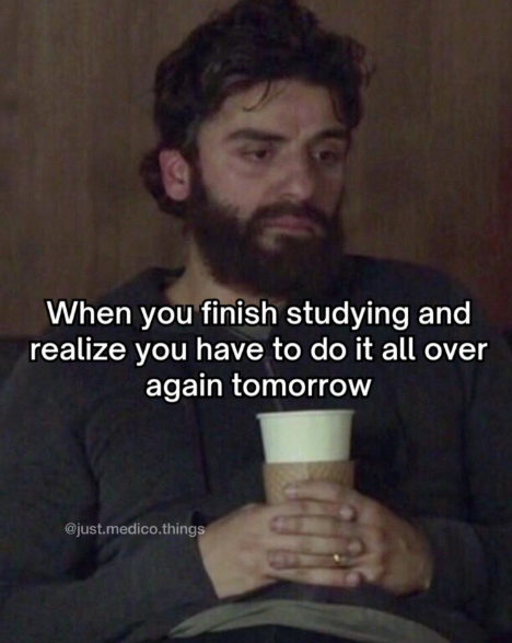 When you finish studying and realize you have to do it all over again tomorrow @just.medico.things