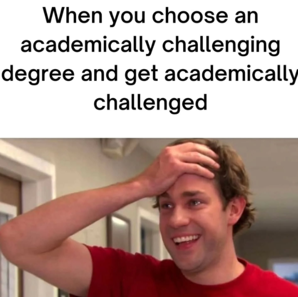 When you choose an academically challenging degree and get academically challenged