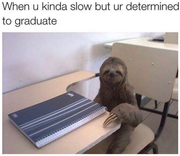 When u kinda slow but ur determined to graduate