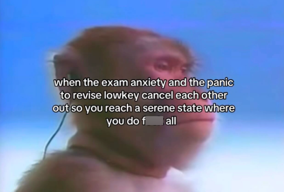 when the exam anxiety and the panic to revise lowkey cancel each other out so you reach a serene state where you do f all