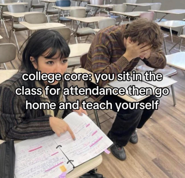 college core: you sit in the class for attendance then go home and teach yourself AMEERALAN