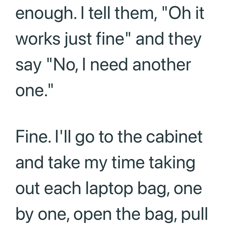 enough. I tell them, "Oh it works just fine" and they say "No, I need another one." Fine. I'll go to the cabinet and take my time taking out each laptop bag, one by one, open the bag, pull