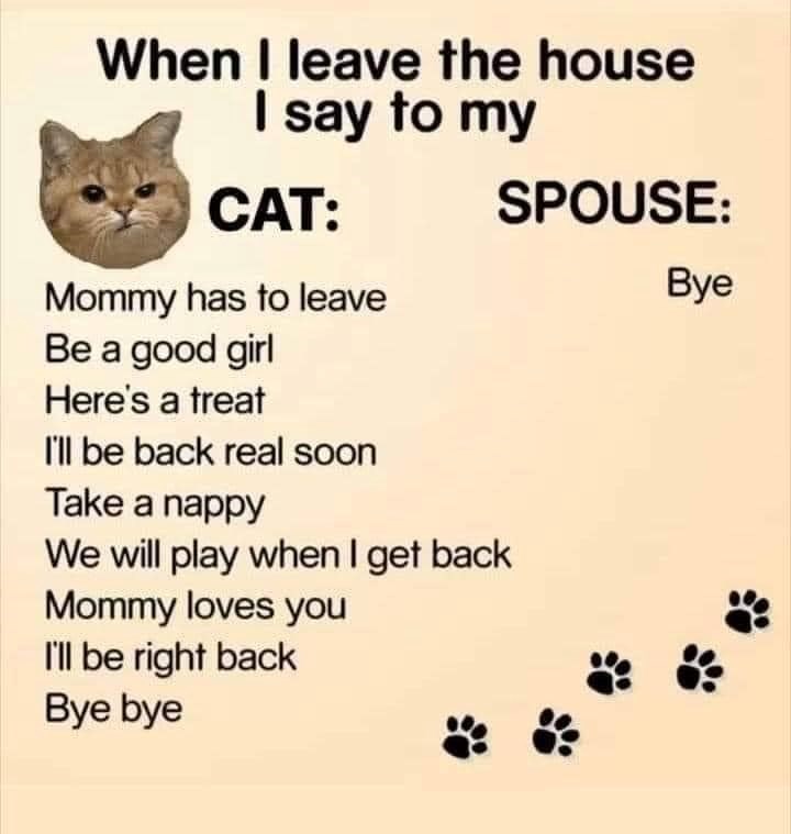 When I leave the house I say to my CAT: Mommy has to leave Be a good girl SPOUSE: Bye Here's a treat I'll be back real soon Take a nappy We will play when I get back Mommy loves you I'll be right back Bye bye