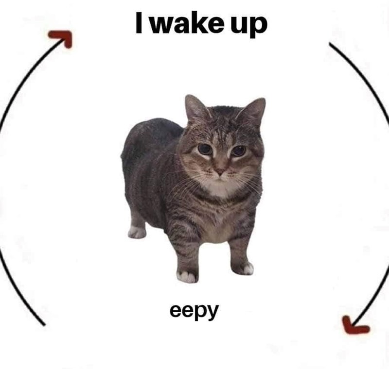 I wake up eepy