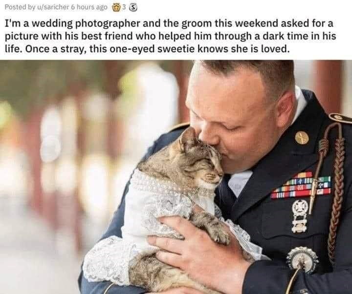 Posted by u/saricher 6 hours ago 33 I'm a wedding photographer and the groom this weekend asked for a picture with his best friend who helped him through a dark time in his life. Once a stray, this one-eyed sweetie knows she is loved.