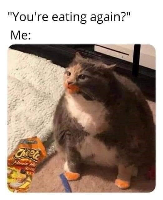 "You're eating again?" Me: Cheele Femin Hir