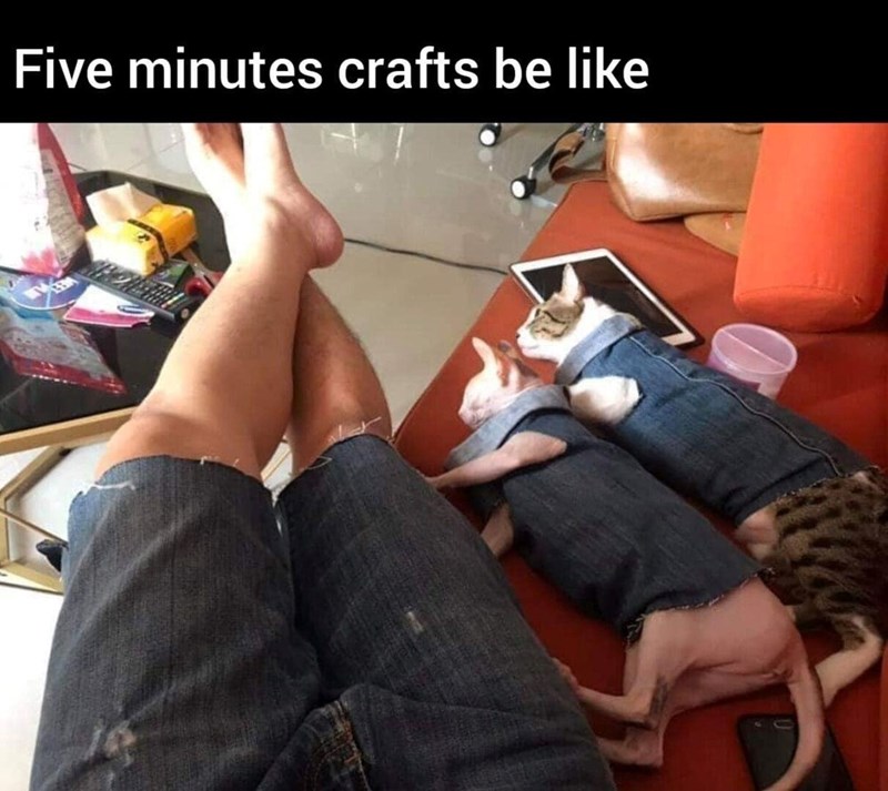 Five minutes crafts be like