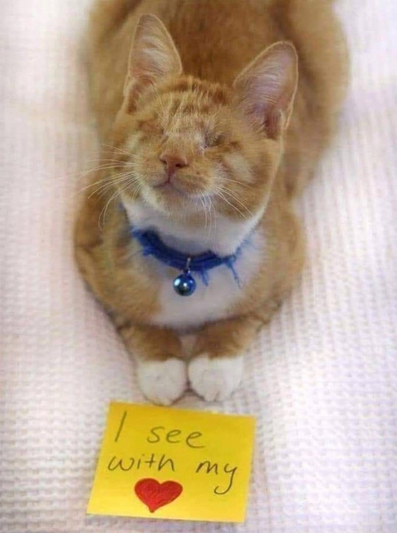 I see with my