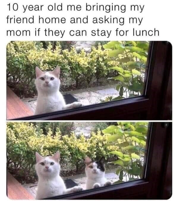 10 year old me bringing my friend home and asking my mom if they can stay for lunch