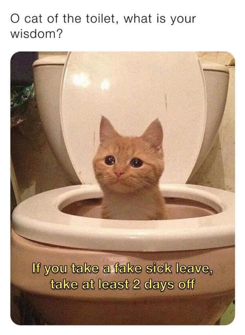 O cat of the toilet, what is your wisdom? If you take a fake sick leave, take at least 2 days off