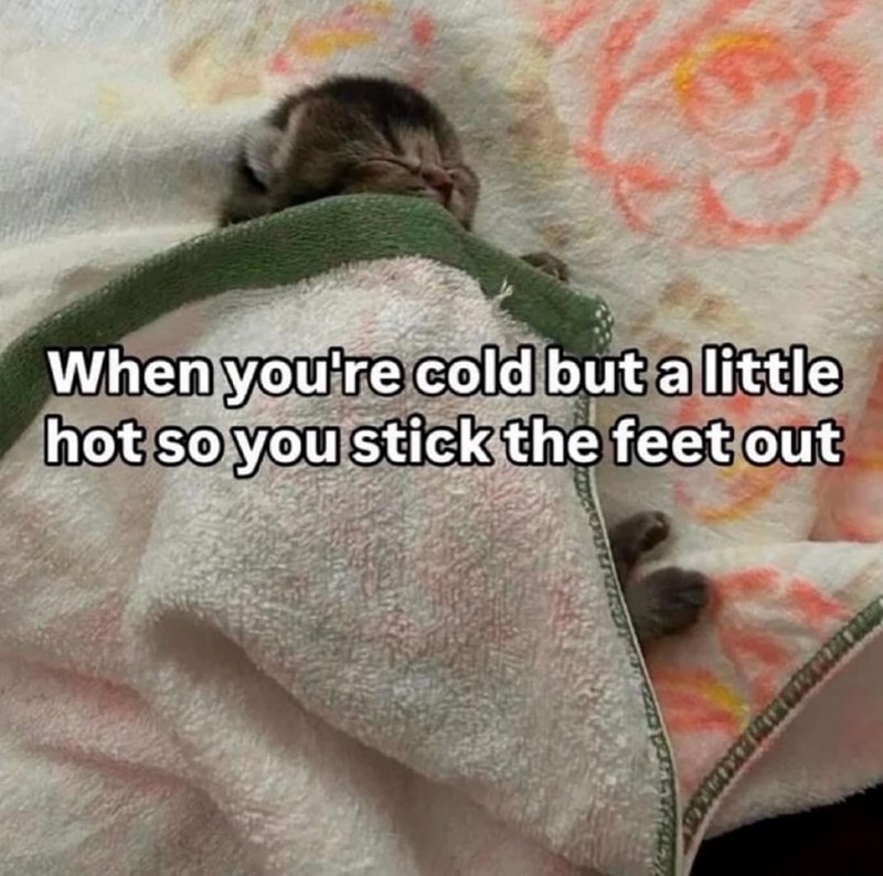 When you're cold but a little hot so you stick the feet out