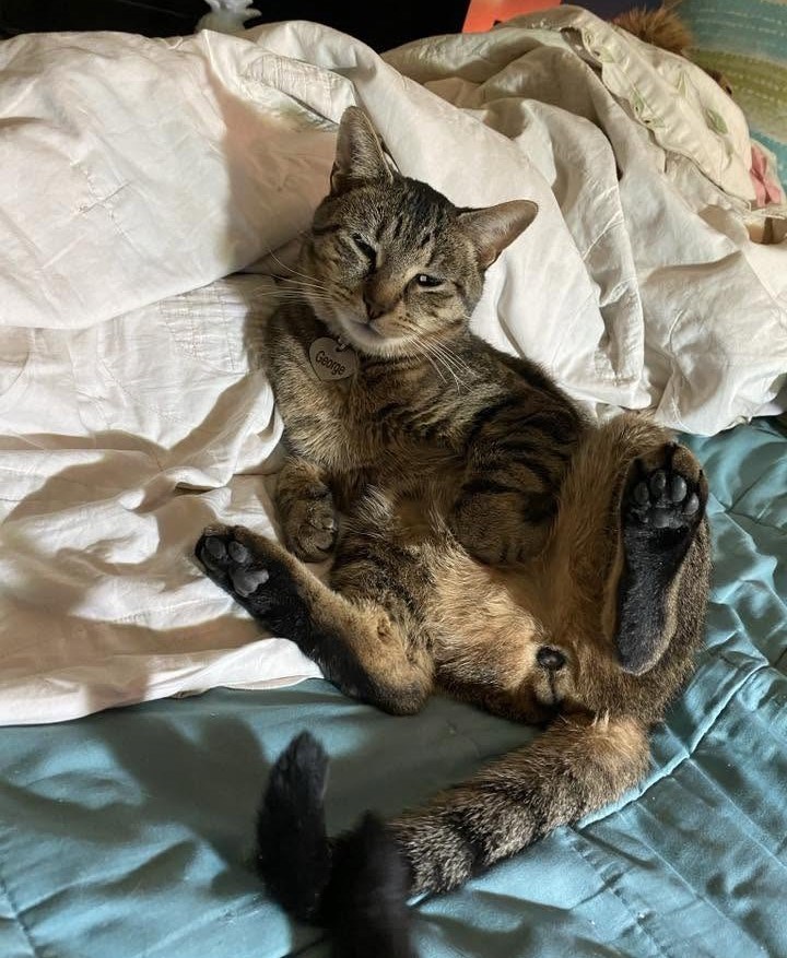 George