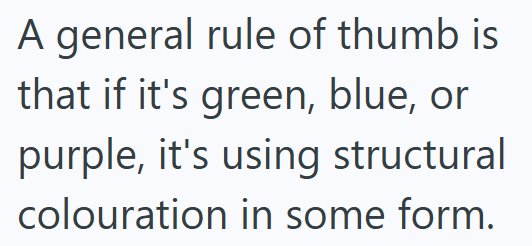A general rule of thumb is that if it's green, blue, or purple, it's using structural colouration in some form.