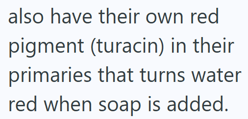 also have their own red pigment (turacin) in their primaries that turns water red when soap is added.