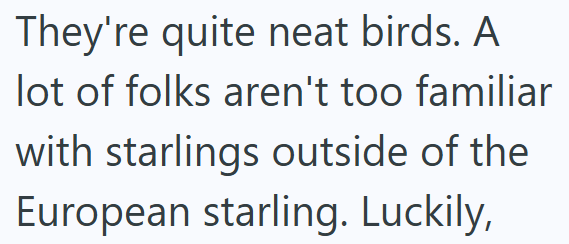 They're quite neat birds. A lot of folks aren't too familiar with starlings outside of the European starling. Luckily,