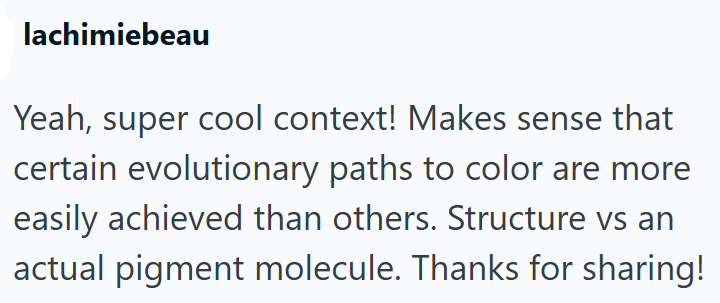 lachimiebeau Yeah, super cool context! Makes sense that certain evolutionary paths to color are more easily achieved than others. Structure vs an actual pigment molecule. Thanks for sharing!