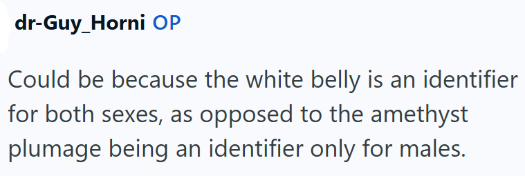 dr-Guy_Horni OP Could be because the white belly is an identifier for both sexes, as opposed to the amethyst plumage being an identifier only for males.