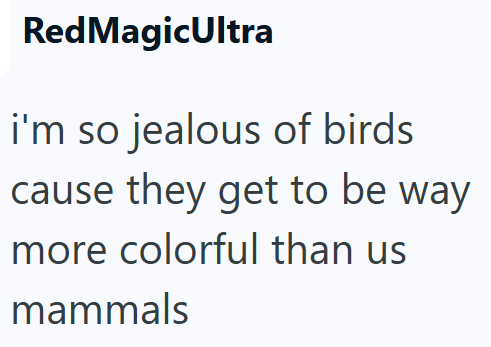 RedMagicUltra i'm so jealous of birds cause they get to be way more colorful than us mammals
