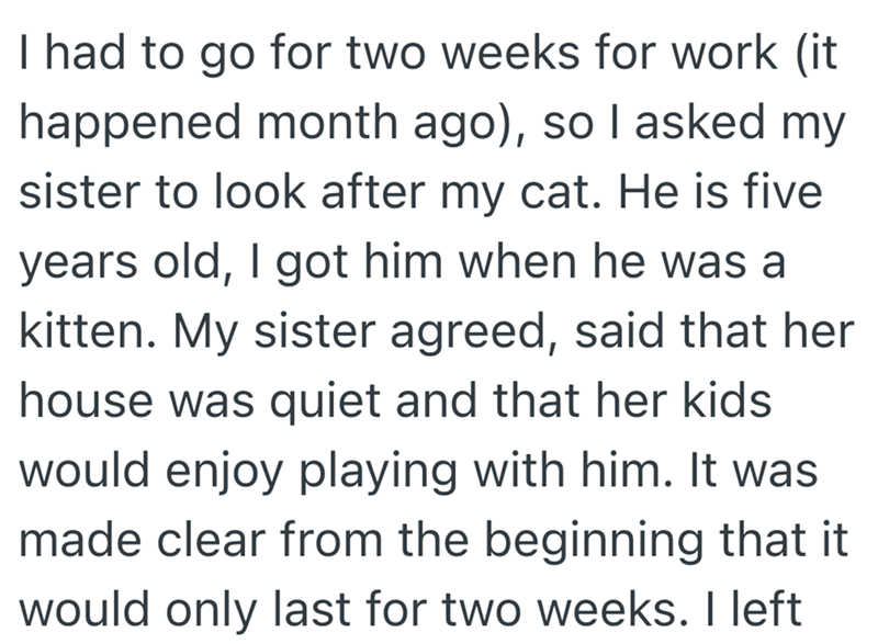 I had to go for two weeks for work (it happened month ago), so I asked my sister to look after my cat. He is five years old, I got him when he was a kitten. My sister agreed, said that her house was quiet and that her kids would enjoy playing with him. It was made clear from the beginning that it would only last for two weeks. I left