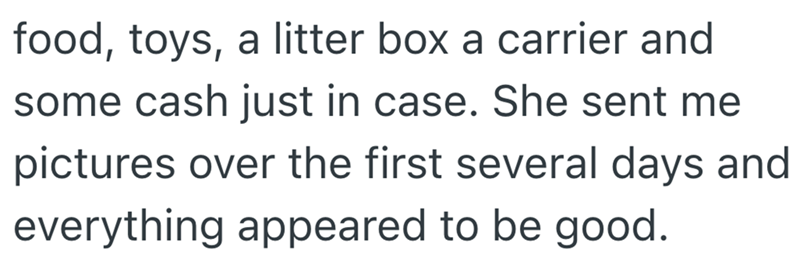 food, toys, a litter box a carrier and some cash just in case. She sent me pictures over the first several days and everything appeared to be good.