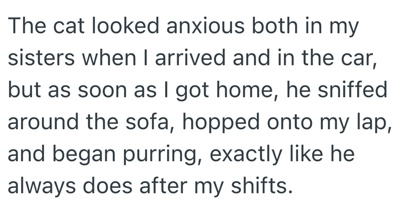 The cat looked anxious both in my sisters when I arrived and in the car, but as soon as I got home, he sniffed around the sofa, hopped onto my lap, and began purring, exactly like he always does after my shifts.