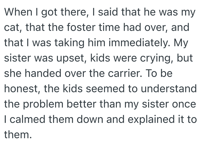 When I got there, I said that he was my cat, that the foster time had over, and that I was taking him immediately. My sister was upset, kids were crying, but she handed over the carrier. To be honest, the kids seemed to understand the problem better than my sister once I calmed them down and explained it to them.