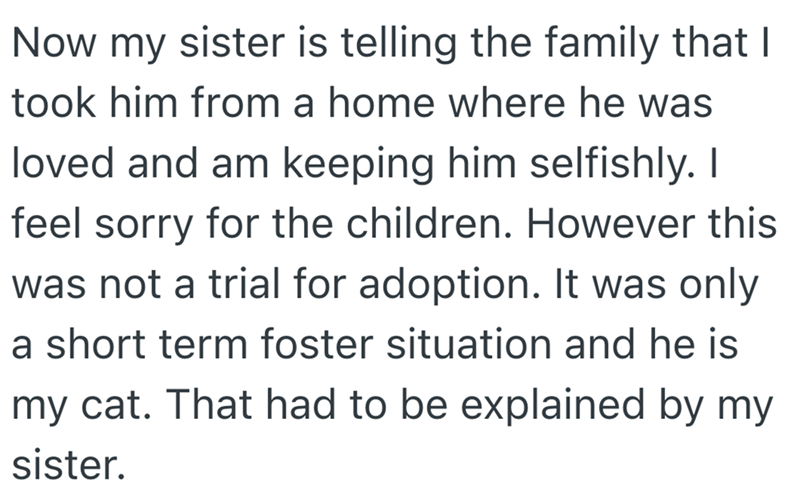 Now my sister is telling the family that I took him from a home where he was loved and am keeping him selfishly. I feel sorry for the children. However this was not a trial for adoption. It was only a short term foster situation and he is my cat. That had to be explained by my sister.