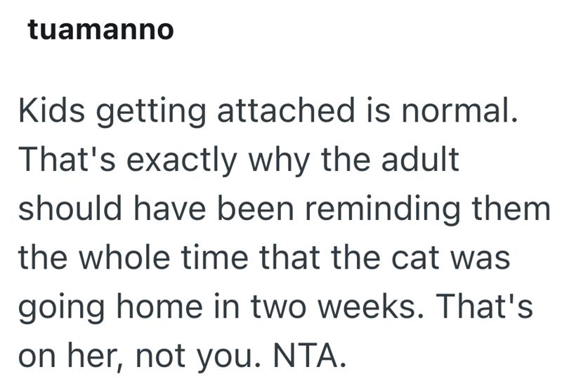 tuamanno Kids getting attached is normal. That's exactly why the adult should have been reminding them the whole time that the cat was going home in two weeks. That's on her, not you. NTA.