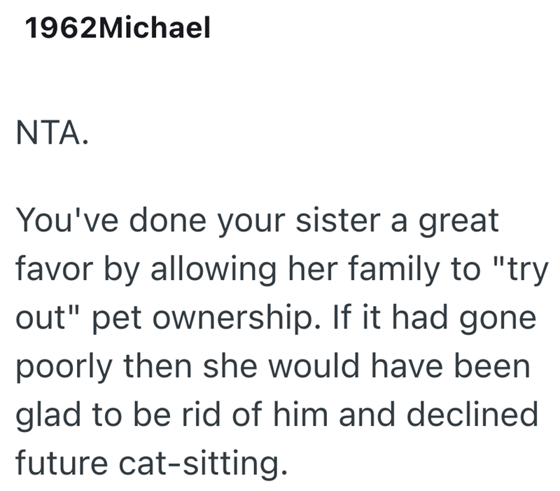 1962Michael NTA. You've done your sister a great favor by allowing her family to "try out" pet ownership. If it had gone poorly then she would have been glad to be rid of him and declined future cat-sitting.