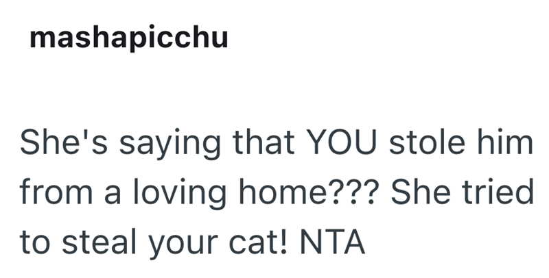 mashapicchu She's saying that YOU stole him from a loving home??? She tried to steal your cat! NTA