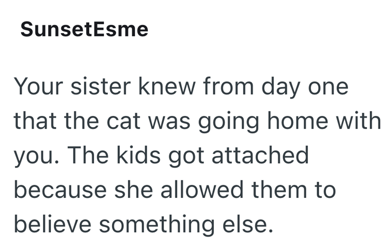 SunsetEsme Your sister knew from day one that the cat was going home with you. The kids got attached because she allowed them to believe something else.