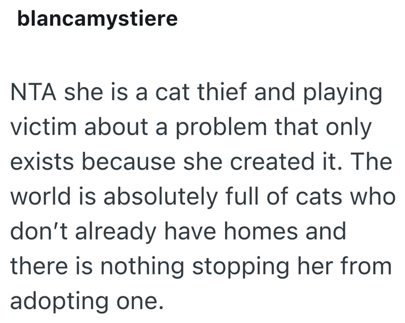blancamystiere NTA she is a cat thief and playing victim about a problem that only exists because she created it. The world is absolutely full of cats who don't already have homes and there is nothing stopping her from adopting one.