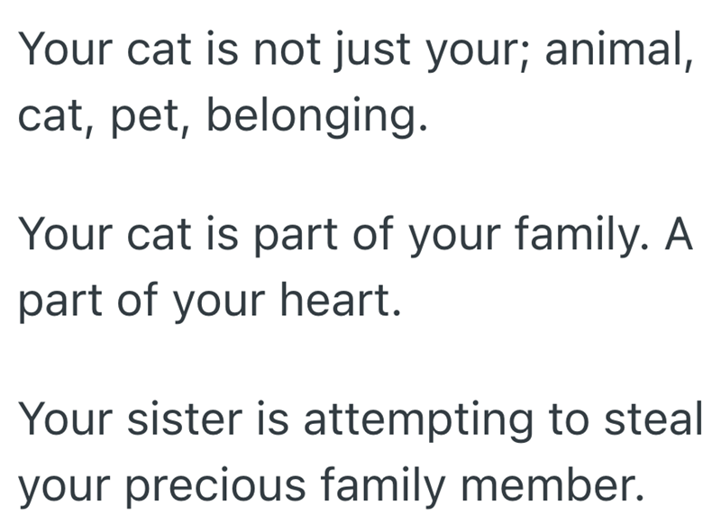 Your cat is not just your; animal, cat, pet, belonging. Your cat is part of your family. A part of your heart. Your sister is attempting to steal your precious family member.