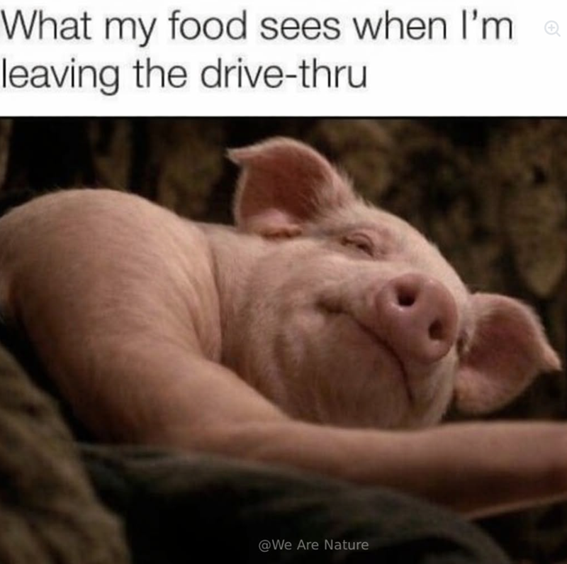 What my food sees when I'm leaving the drive-thru @We Are Nature
