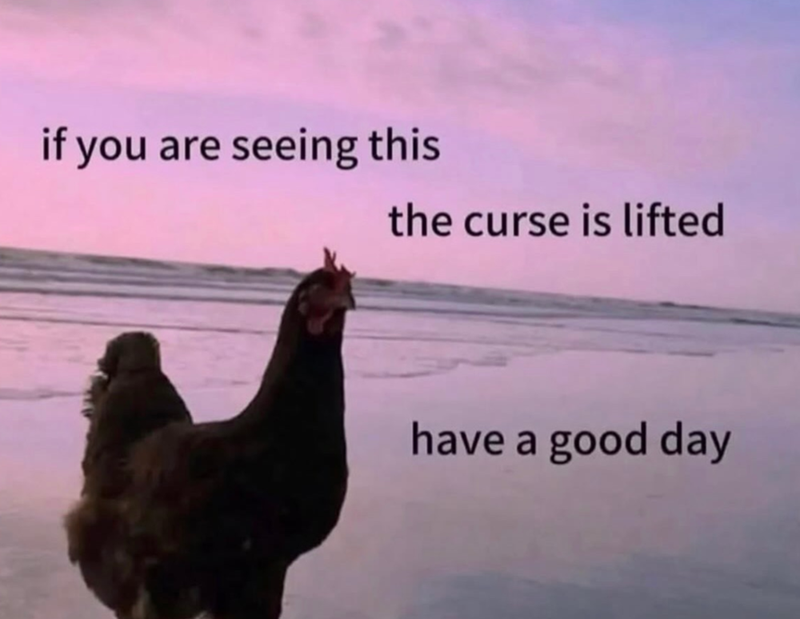 if you are seeing this the curse is lifted have a good day
