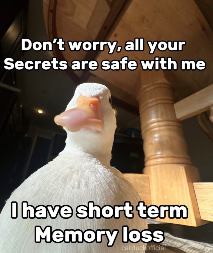 Don't worry, all your Secrets are safe with me I have short term Memory loss callduckofficial