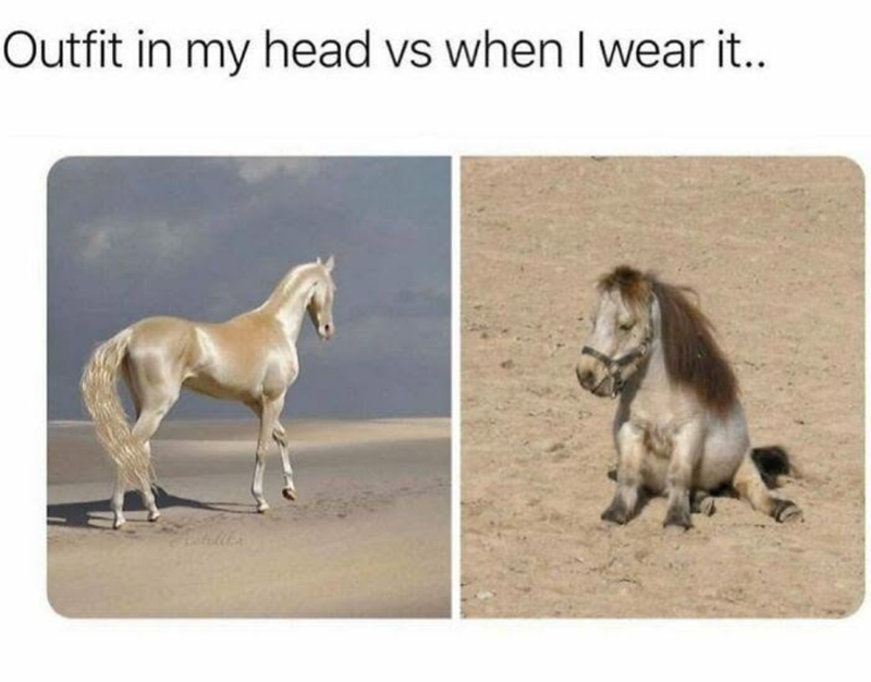 Outfit in my head vs when I wear it..