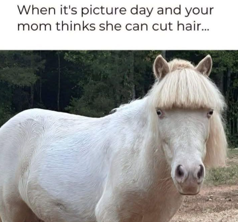 When it's picture day and your mom thinks she can cut hair...