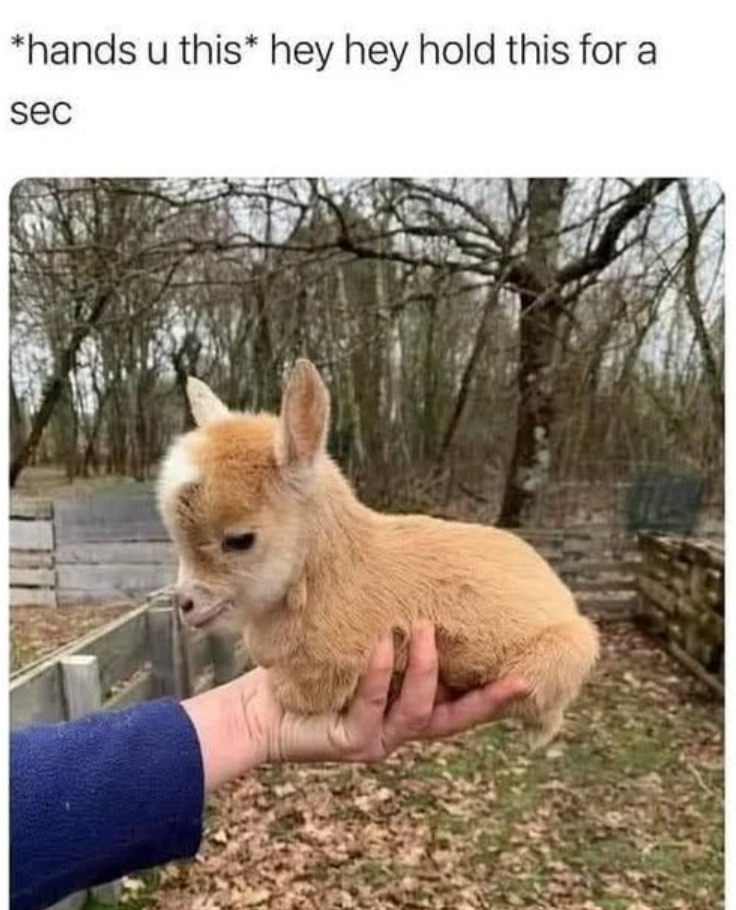 *hands u this* hey hey hold this for a sec