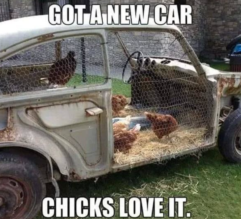 GOT A NEW CAR CHICKS LOVE IT.
