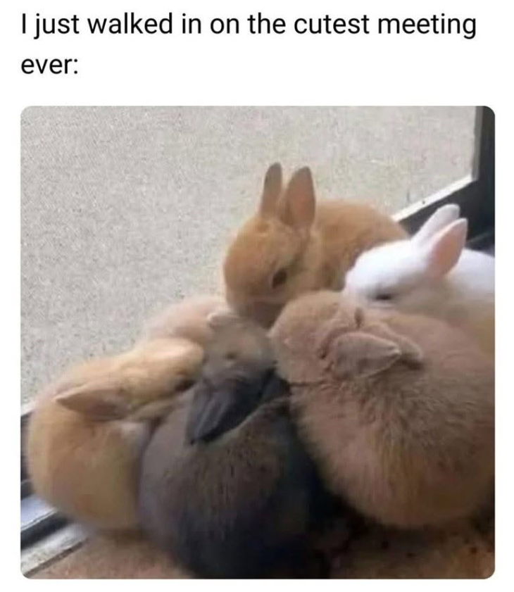 I just walked in on the cutest meeting ever: