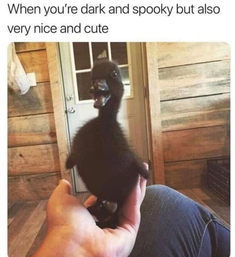 When you're dark and spooky but also very nice and cute