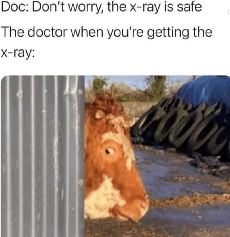 Doc: Don't worry, the x-ray is safe The doctor when you're getting the X-ray: