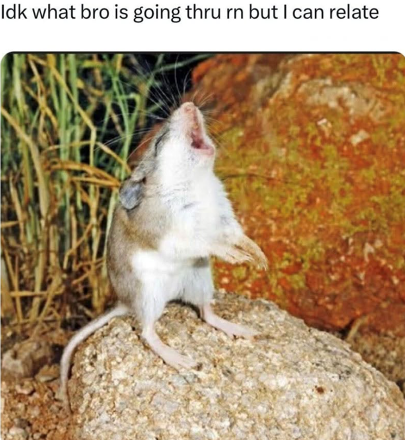 Idk what bro is going thru rn but I can relate