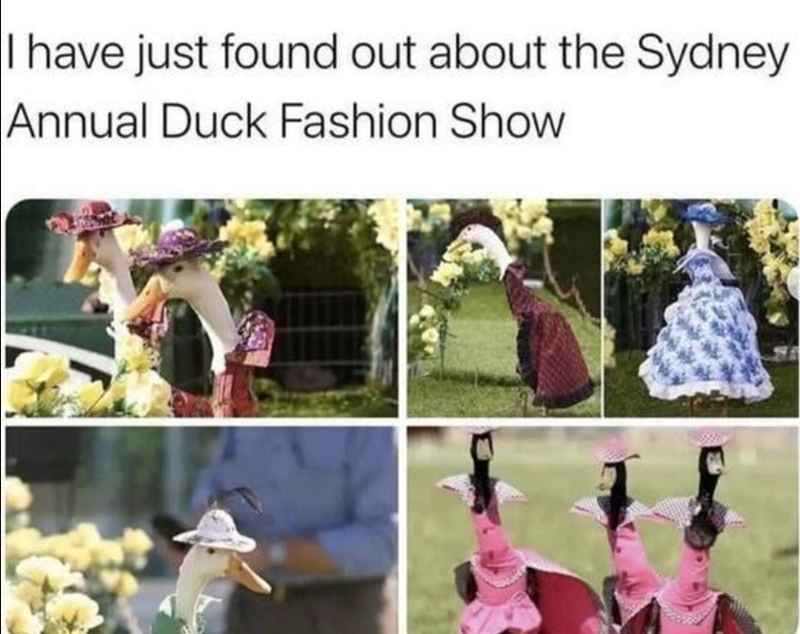 I have just found out about the Sydney Annual Duck Fashion Show